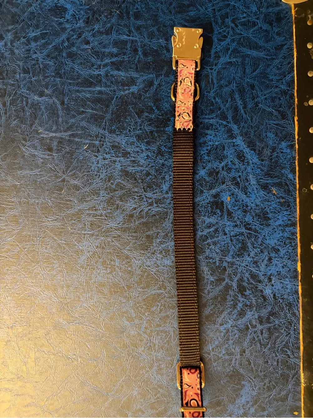 Pink Paisley Dog Collar with Silver Metal Buckle